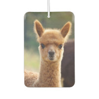 Beautiful Baby Alpaca Air Freshener
