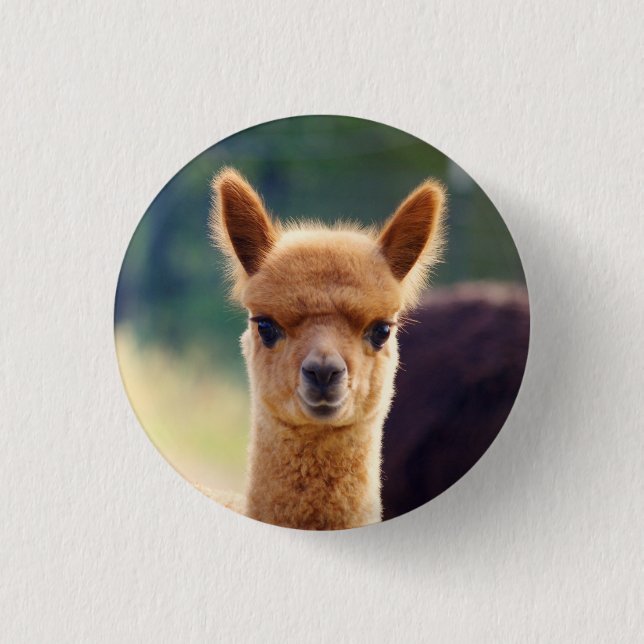 Beautiful Baby Alpaca Buttons (Front)