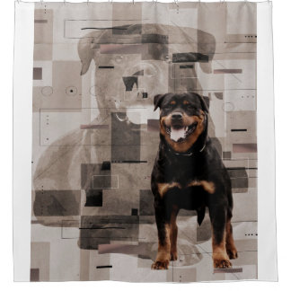 Beautiful Background Rottweiler  - Metzgerhund