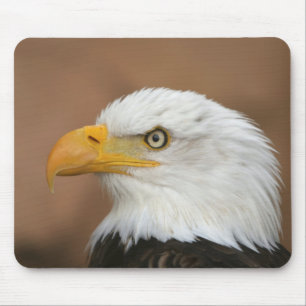 Beautiful Bald Eagle Mouse Pad