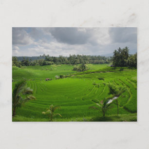 Beautiful Bali Countryside Postcard