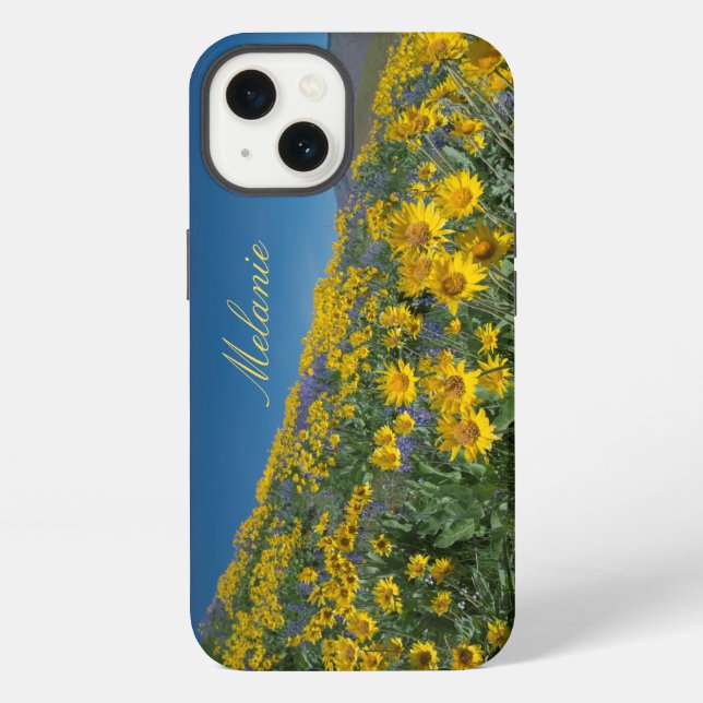 Beautiful Balsamroot Bloom iPhone Case (Back)