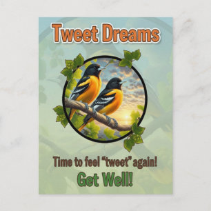 Beautiful Baltimore Orioles Get Well Postcard