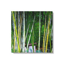 Beautiful bamboo grove green yellow and grey