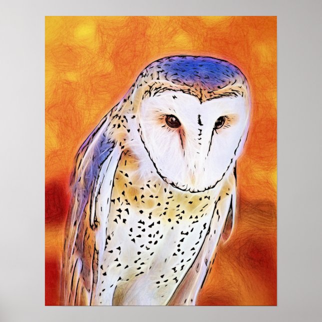Beautiful Barn Owl Bird With White Face Poster (Front)