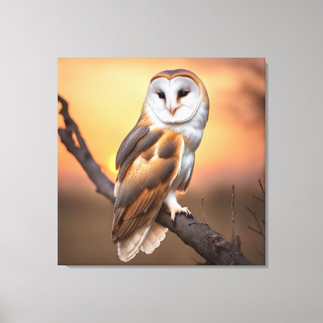 Beautiful Barn Owl Canvas Print (Front)