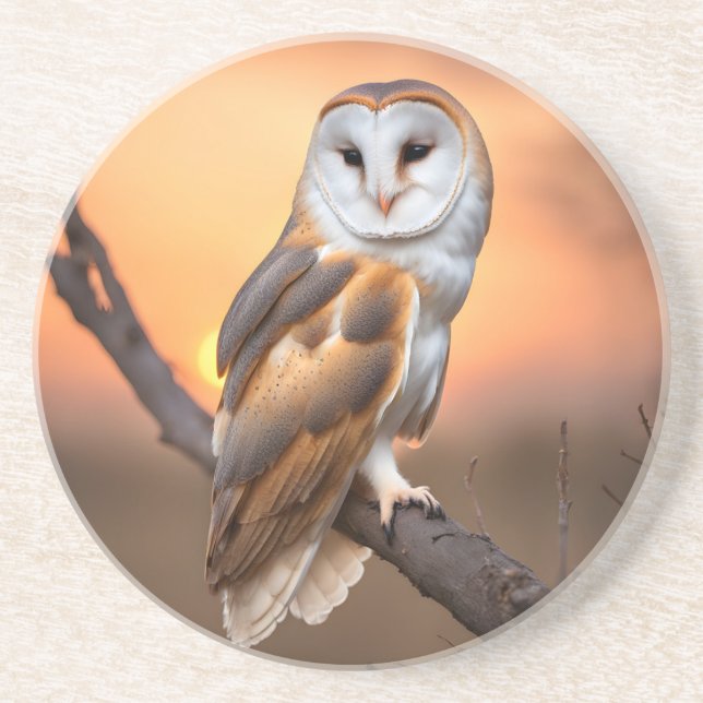 Beautiful Barn Owl Coaster (Front)