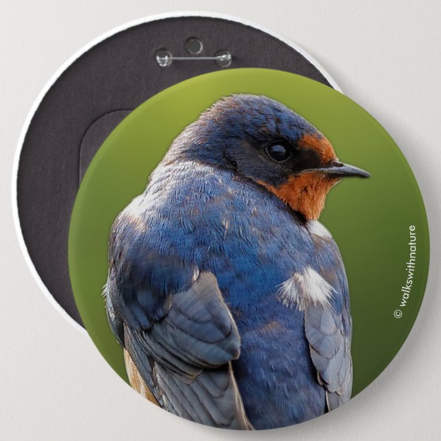 Beautiful Barn Swallow 6 Inch Round Button (Front & Back)