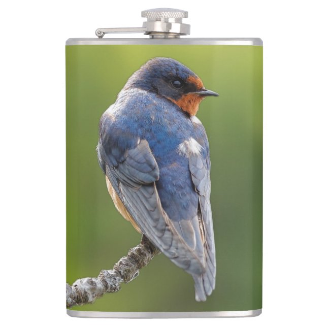 Beautiful Barn Swallow on a Branch Hip Flask (Front)