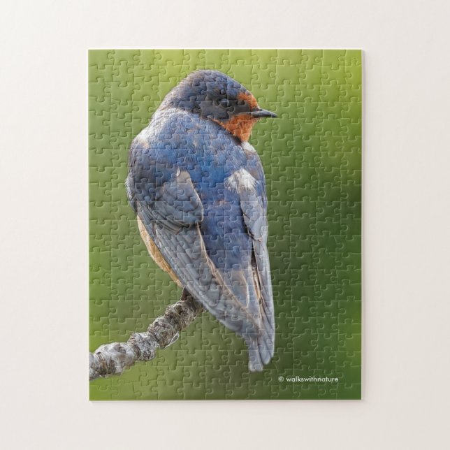 Beautiful Barn Swallow Songbird on a Branch Jigsaw Puzzle (Vertical)