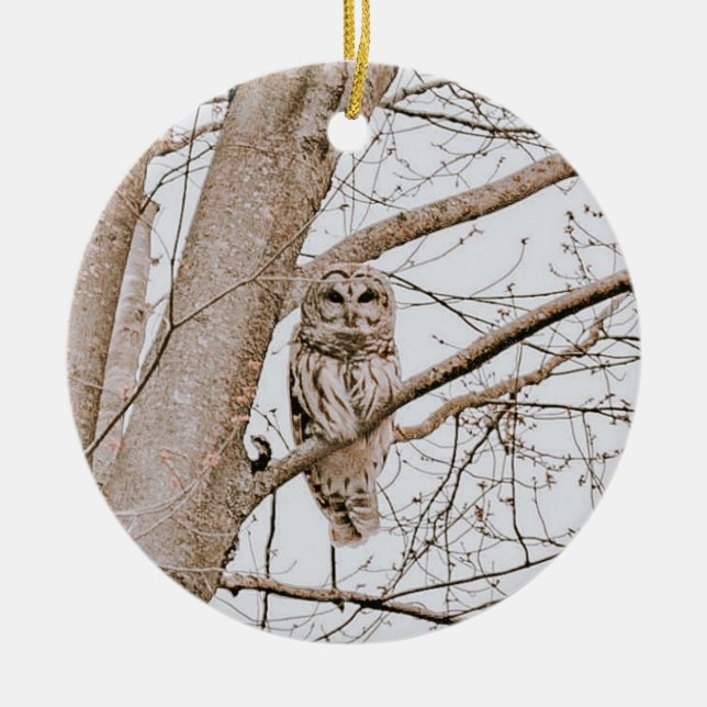Beautiful Barred Owl Audubon Christmas Ceramic Ornament (Front)