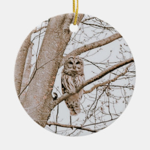 Beautiful Barred Owl Audubon Valentine’s  Ceramic Ornament