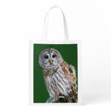 Beautiful Barred Owl - Birder's Foldable Bag