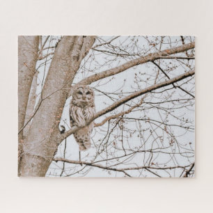 Beautiful Barred Owl Michigan Woods Audubon Jigsaw Puzzle