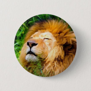 Beautiful Basking Male Lion African Wildlife 2 Inch Round Button