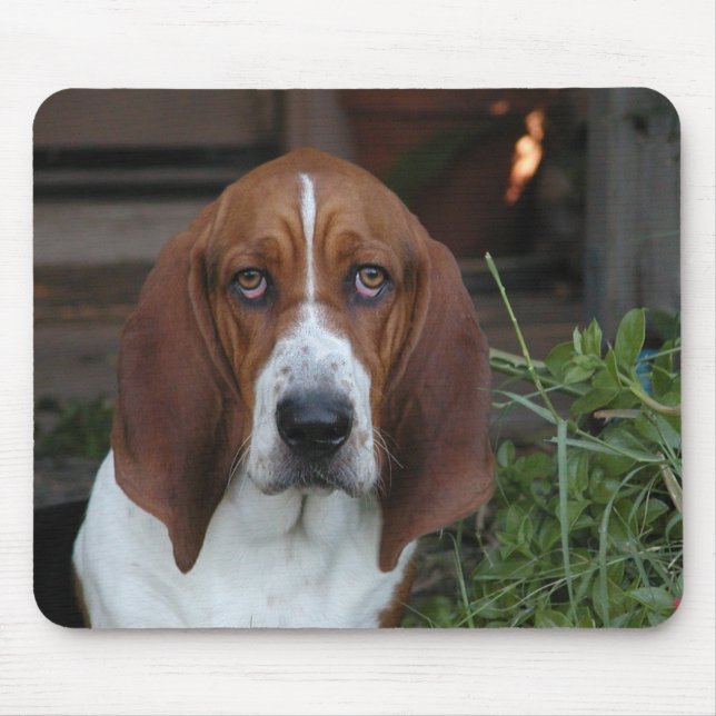 Beautiful Basset Hound Mouse Pad (Front)