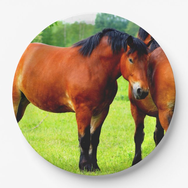 Beautiful Bay Draught Horses In Lush Green Meadow Paper Plate (Front)