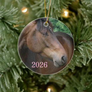 Beautiful Bay Horse Ceramic Ornament