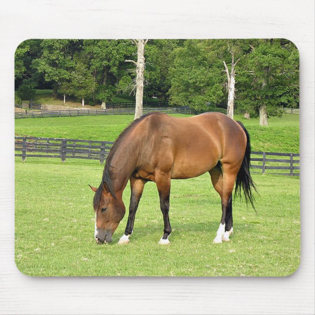 beautiful bay horse mouse pad (Front)