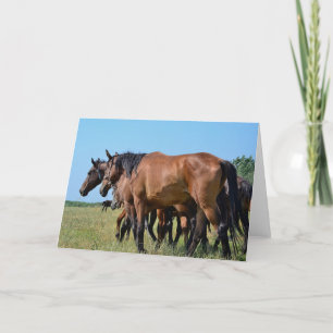 Beautiful Bay Horses Card