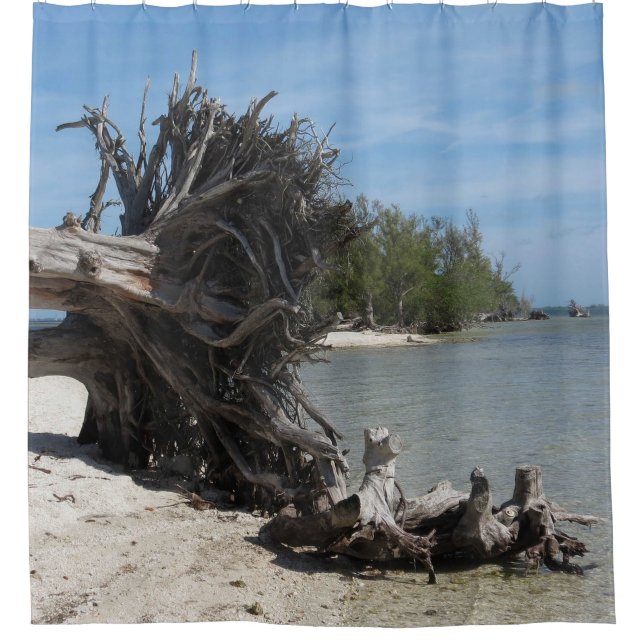 Beautiful Beach (Front)