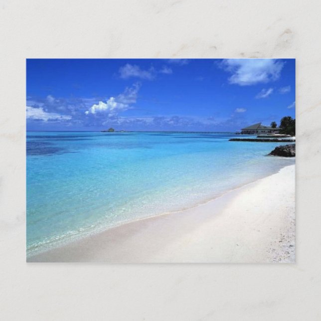 Beautiful Beach Postcard (Front)