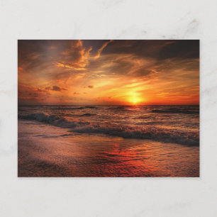 Beautiful Beach Sunset Postcard