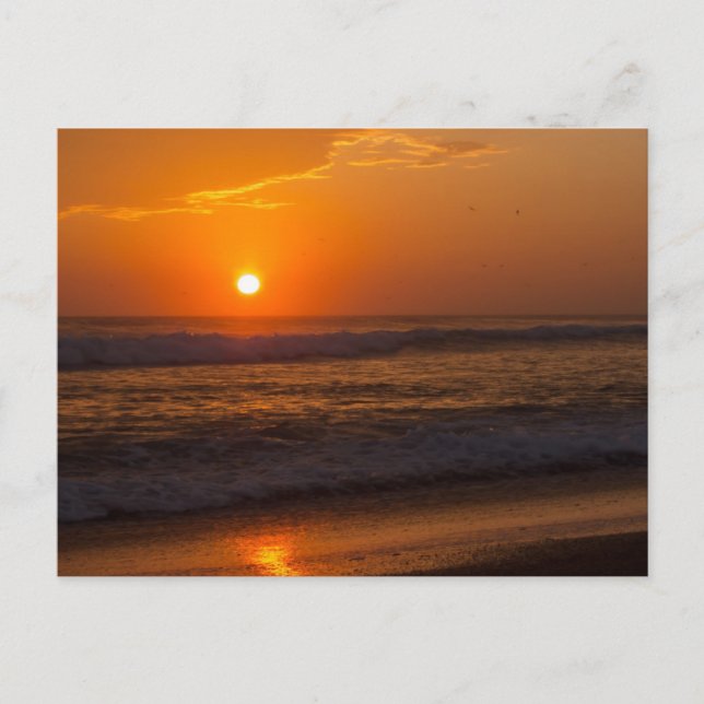 Beautiful Beach Sunset Postcard (Front)
