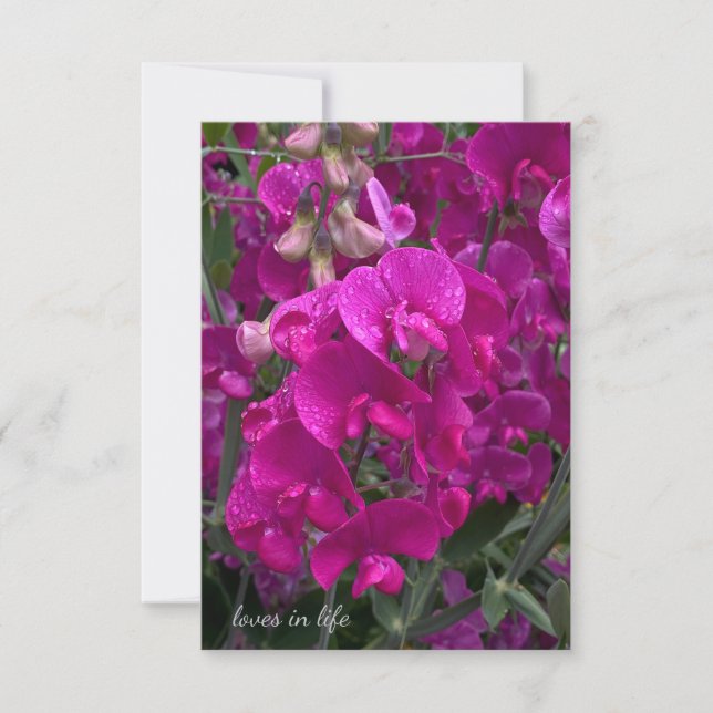 Beautiful Beach Sweet Pea Card (Front)
