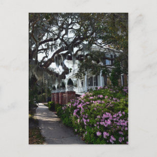 Beautiful Beaufort, South Carolina Postcard