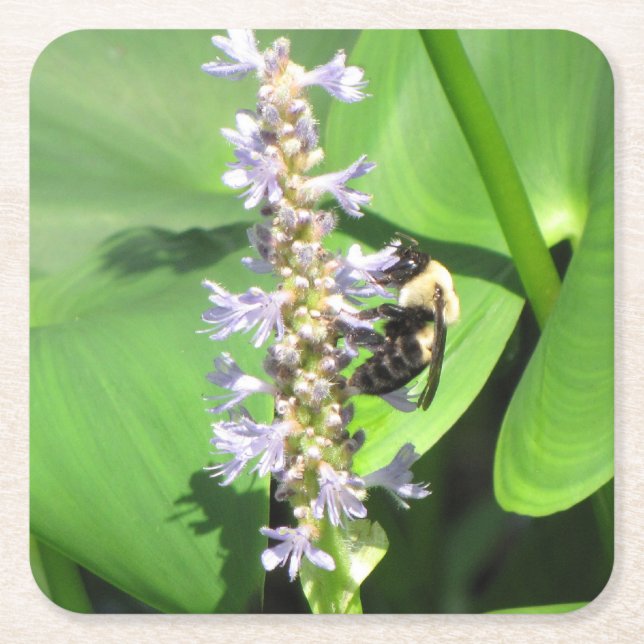 Beautiful Bee Coaster Set (Front)