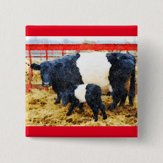Beautiful Belted Galloway cow and calf watercolour 2 Inch Square Button