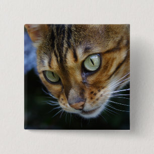 Beautiful Bengal Cat 2 Inch Square Button