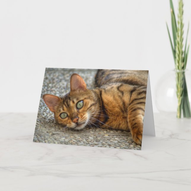 Beautiful Bengal Cat Card (Front)