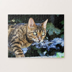 Beautiful Bengal Cat Jigsaw Puzzle