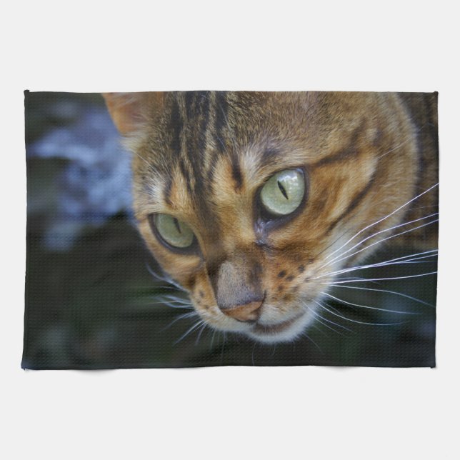 Beautiful Bengal Cat Kitchen Towel (Horizontal)