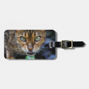 Beautiful Bengal Cat Luggage Tag