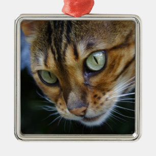 Beautiful Bengal Cat Metal Ornament