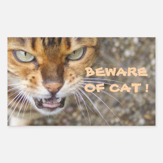 Beautiful Bengal Cat Sticker (Front)