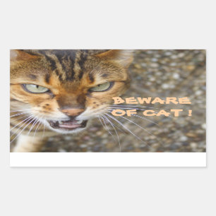 Beautiful Bengal Cat Sticker