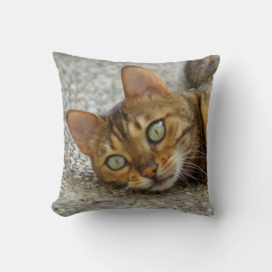 Beautiful Bengal Cat Throw Pillow