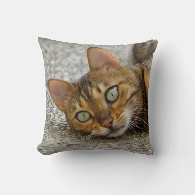 Beautiful Bengal Cat Throw Pillow (Front)