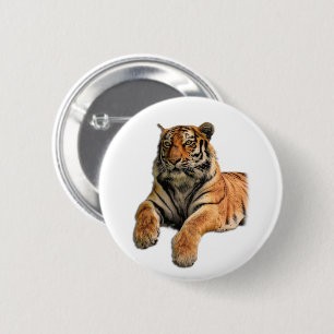 Beautiful Bengal Tiger Face & Paws Photo 2 Inch Round Button