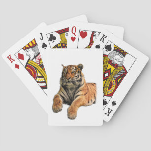 Beautiful Bengal Tiger Face & Paws Photo Playing Cards