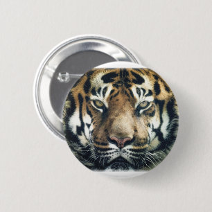 Beautiful Bengal Tiger Face Photo 2 Inch Round Button