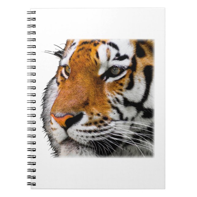 Beautiful Bengal Tiger Face Photo Notebook (Front)