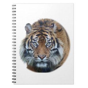 Beautiful Bengal Tiger Face Photo Notebook