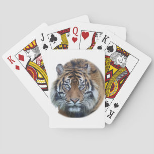 Beautiful Bengal Tiger Face Photo Playing Cards