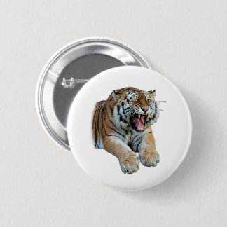Beautiful Bengal Tiger Face & Teeth Photo 2 Inch Round Button