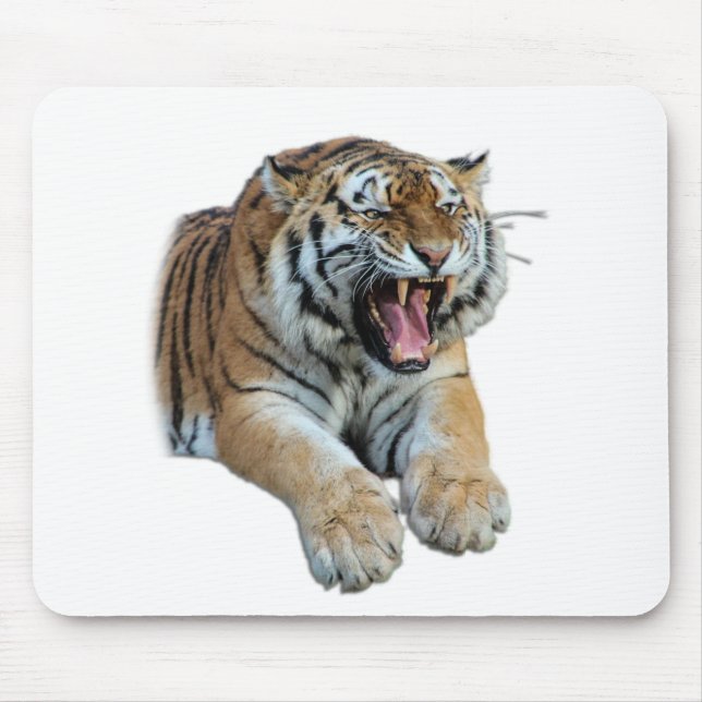 Beautiful Bengal Tiger Face & Teeth Photo Mouse Pad (Front)